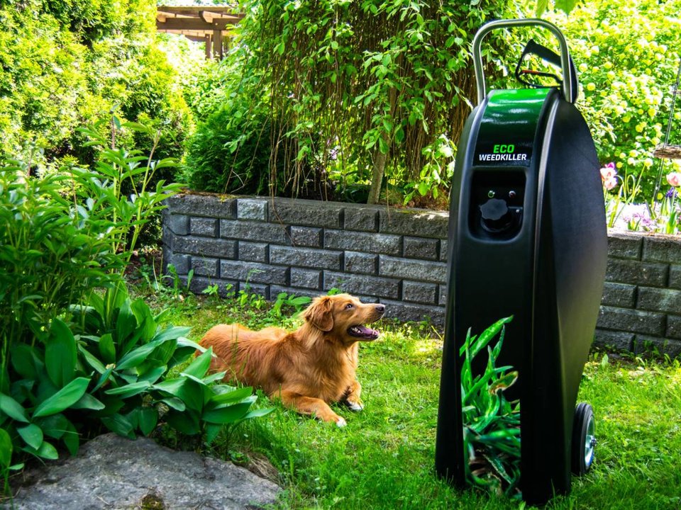 Experience Sustainable Hot Water Weed Management with RT Machinery – 7th June - Cover Image